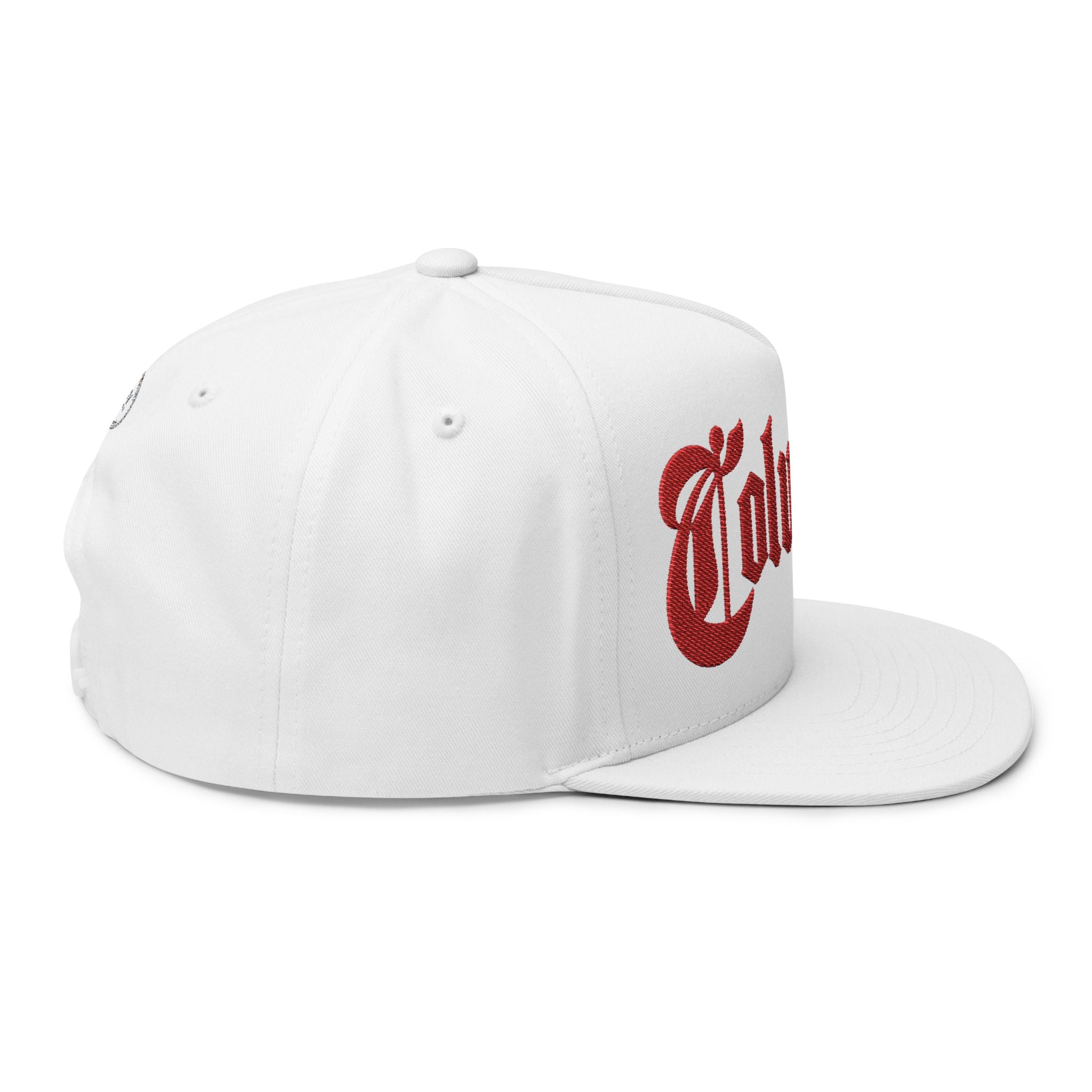Columbus Ohio - Red Text Snapback Hat